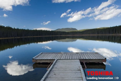 Toshiba Desktop Backgrounds   Wallpapers Cave