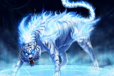 Fantasy Tiger Pictures   HD Wallpapers