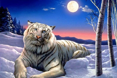 Fantasy Tiger 8 73708 HD Wallpapers