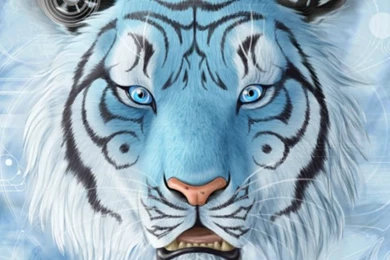 315 Tiger HD Wallpapers