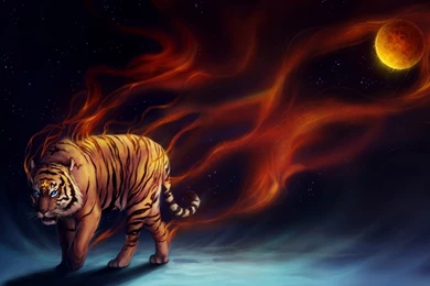 Tiger   Fantasy Wallpapers (38562251)   Fanpop