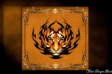 Tiger Computer Wallpapers, Desktop Backgrounds