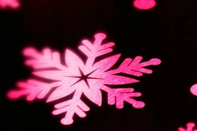 Cute Wallpapers For iPhone 6 Plus Wallpapers