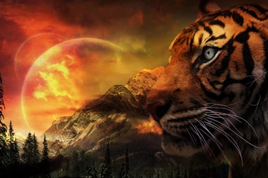 Fantasy   Photo Gallery