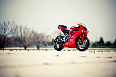 Red Motorcycle Triumph Daytona 675 Wallpapers 45366