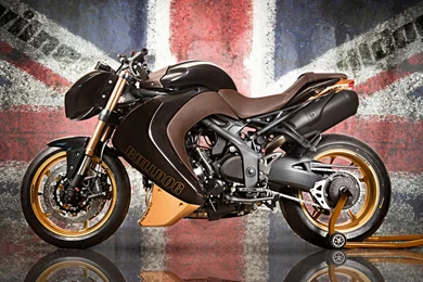 Vilner Triumph Speed Triple Bulldog Wallpapers