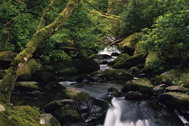 HD Irish Wallpapers And Photos