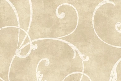 CW9322 Natural Radiance Delicate Scroll Wallpapers By York