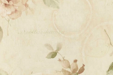 Ivory Rose Floral Scroll Wallpapers By Seabrook