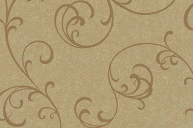 Light Blue NN4017 Graphic Leaf Scroll Wallpapers   Interior Home Decor