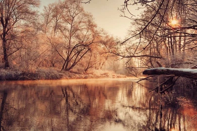 Old Trees And A River In The Autumn Time Wallpapers By MariJane ...