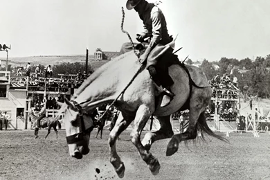 Miscellaneous: Old Time Rodeo, Picture Nr. 21143