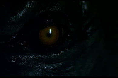 2 Werewolf The Beast Among Us HD Wallpapers
