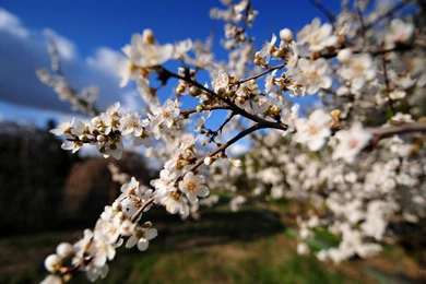 2560x1440 Wallpapers Crimea. WQHD 1440p (Wide Quad HD) 16:9   Free ...