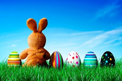 Easter Bunny Backgrounds   Wallpapers Zone