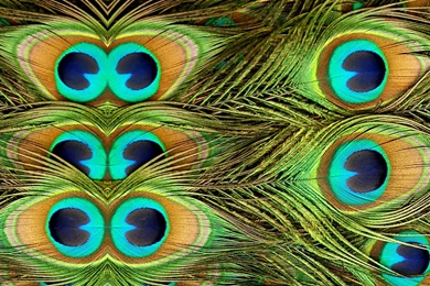 Nook HD Wallpapers   Wallpapers Zone