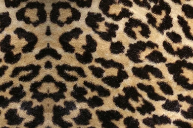 Nook HD Wallpapers   Wallpapers Zone