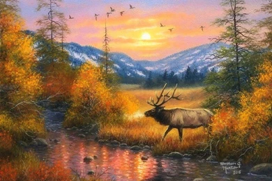 Rivers: Autumn River Stroll Nature Rivers Attractions Dreams ...