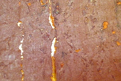 Claudia's Real Cork Wallpapers   Copper On Shiny Copper Orange ...