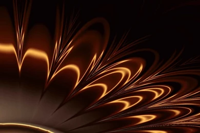 Kittenbaby.com Wallpapers Etc.