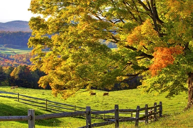 Desktop Backgrounds Wallpapers Wallpapers Scene Nature Scenery Liked ...