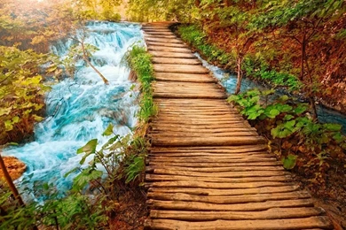 Backgrounds Sceneries Free Download   Wallpapers Zone