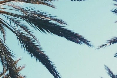 Apple, Background, Colors, Cool, Freedom, Great, Heart, Iphone 5 ...