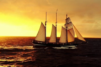 Ships   Photo Gallery