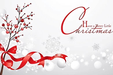 Merry Christmas 2015 Wallpapers   Welcome Happy New Year 2016