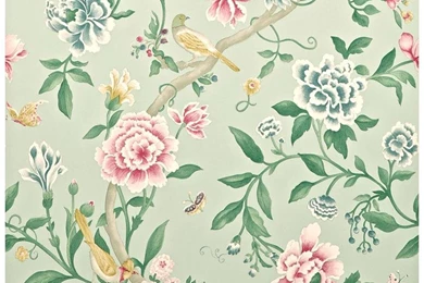 Sanderson Wallpapers – AB Wallpapers