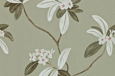 Richmond Hill Wallpapers By Sanderson