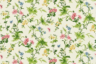 Primrose Hill By Sanderson : Wallpapers Direct