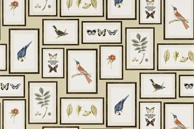 Sanderson   Traditional To Contemporary, High Quality Designer ...