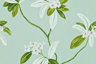 Richmond Hill Wallpapers By Sanderson