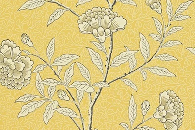 Sanderson   Richmond Hill   Sanderson Chinese Peony (DRCH212135 ...