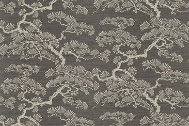 Sanderson Keros Wallpapers   Ebony 213046