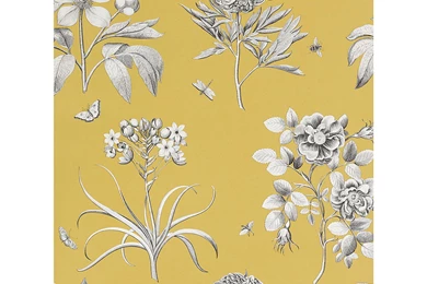 Buy Sanderson Wallpaper, Etchings And Roses DPFWER104, Yellow ...