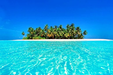 20+ Tropical Backgrounds, Wallpapers, Images