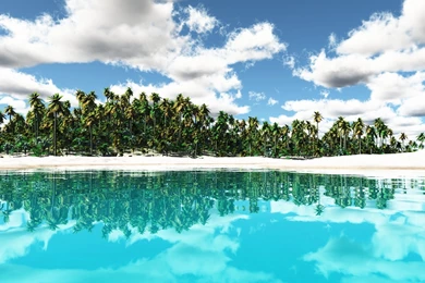 Tropical Backgrounds