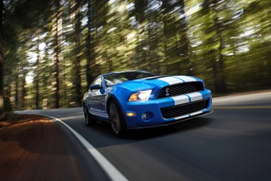 Ford Mustang Shelby GT500 Profile Car