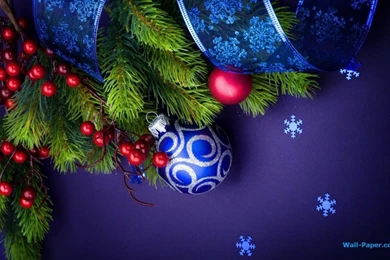 People Colored In Christmas Color: The Series (Part.4)