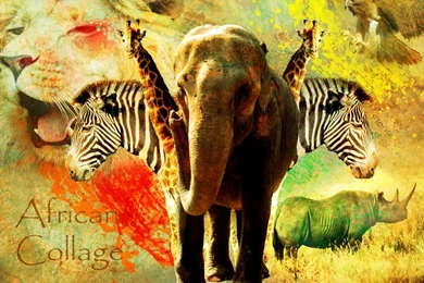 African Collage By Yoshi747 On DeviantArt