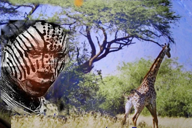 African Warrior Wallpaper Backgrounds