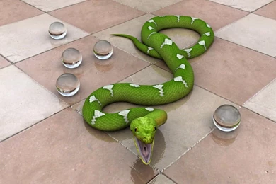 Desktop Wallpapers · Gallery · 3D Art · Snake 3d Wallpapers