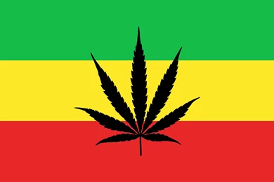 A Place For Trees Related Wallpapers.