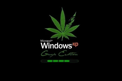 Wallpapers Weed Bank Of Ganja 1024x768
