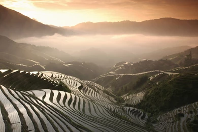 1920x1080 Amazing Rice Terraces Asia Desktop PC And Mac Wallpapers