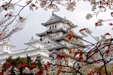 Download Mobile Wallpaper: Landscape, Flowers, Trees, Architecture ...