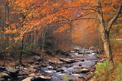 High Definition Fall Wallpapers 41744 HD Wallpapers