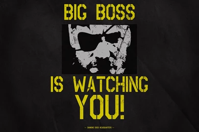 Inspired By Seeing "BIG BOSS IS WATCHING YOU" Posters In The New ...